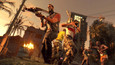 Dying Light picture7