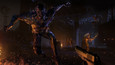 Dying Light picture12