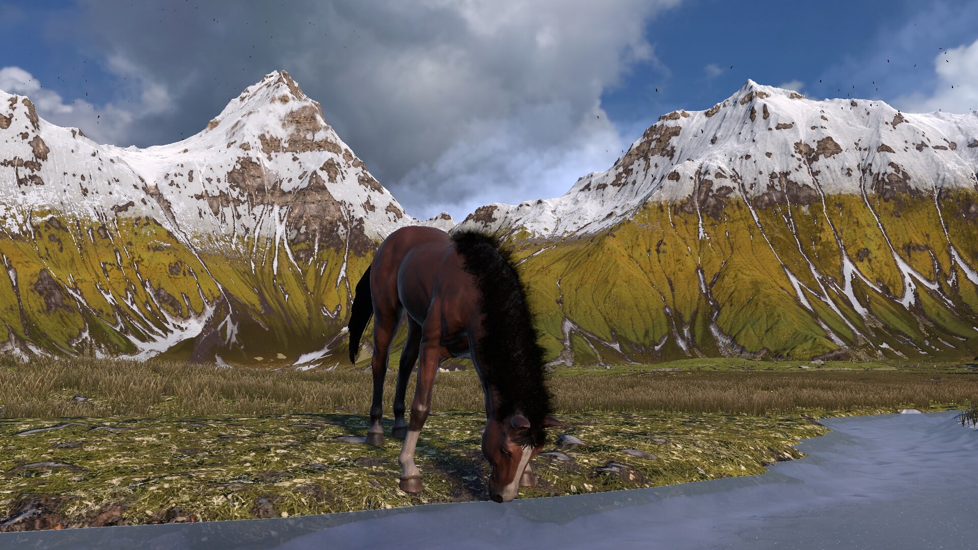 HORSE ISLE - Online Multiplayer Horse Game