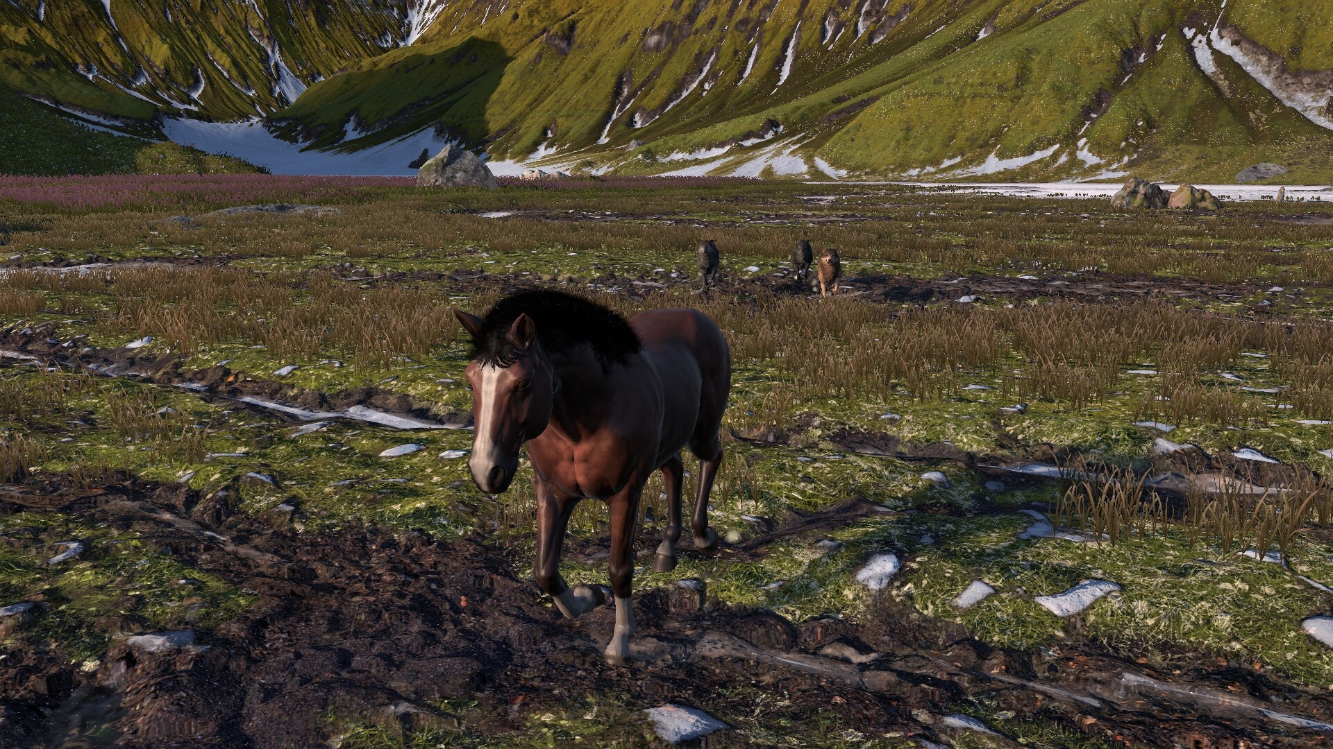 Download & Play Horse Life on PC & Mac (Emulator)