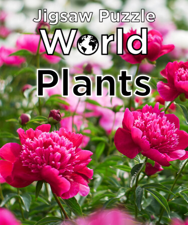 Jigsaw Puzzle World - Plants