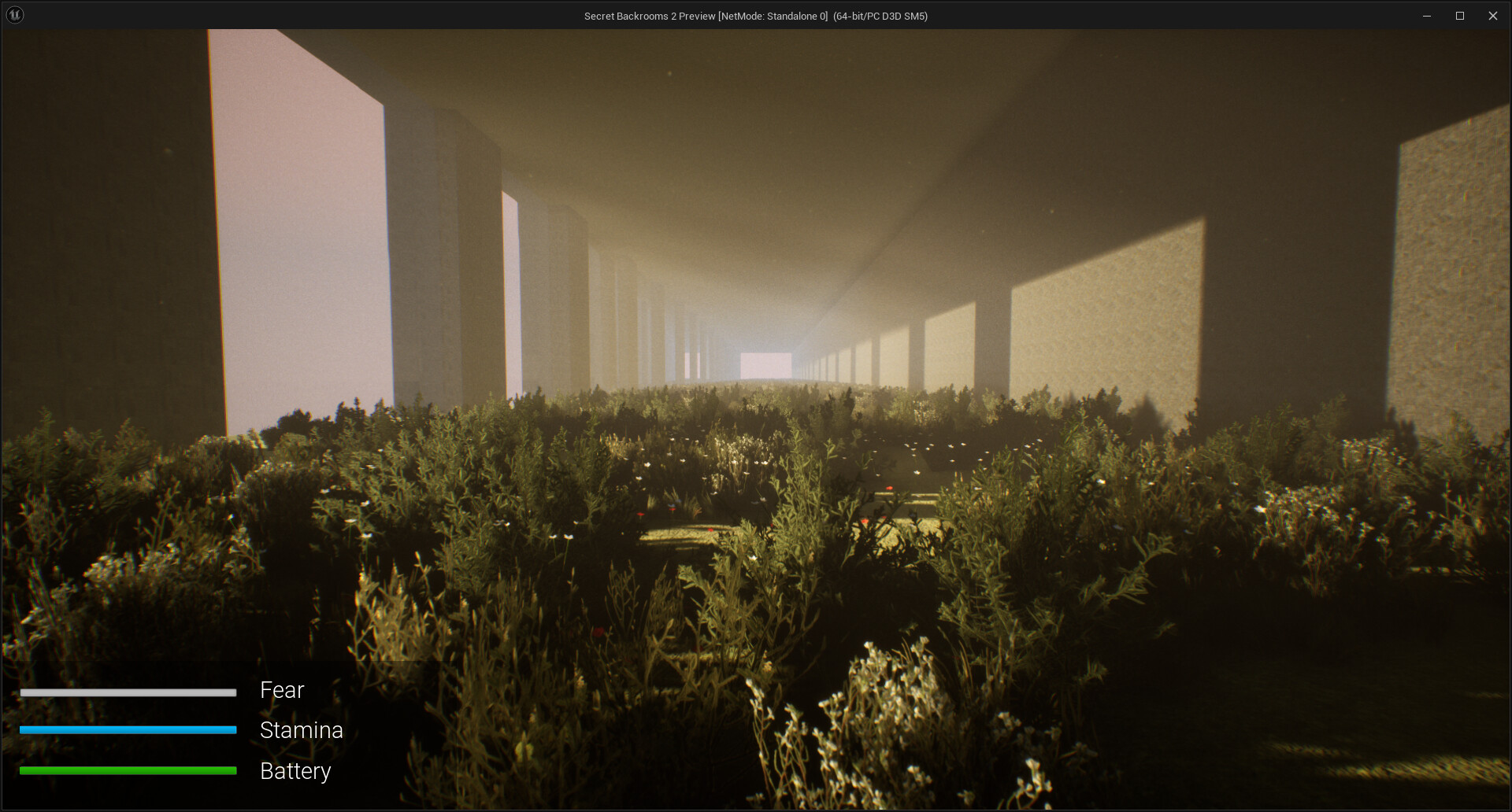 Secret Backrooms 2 #7