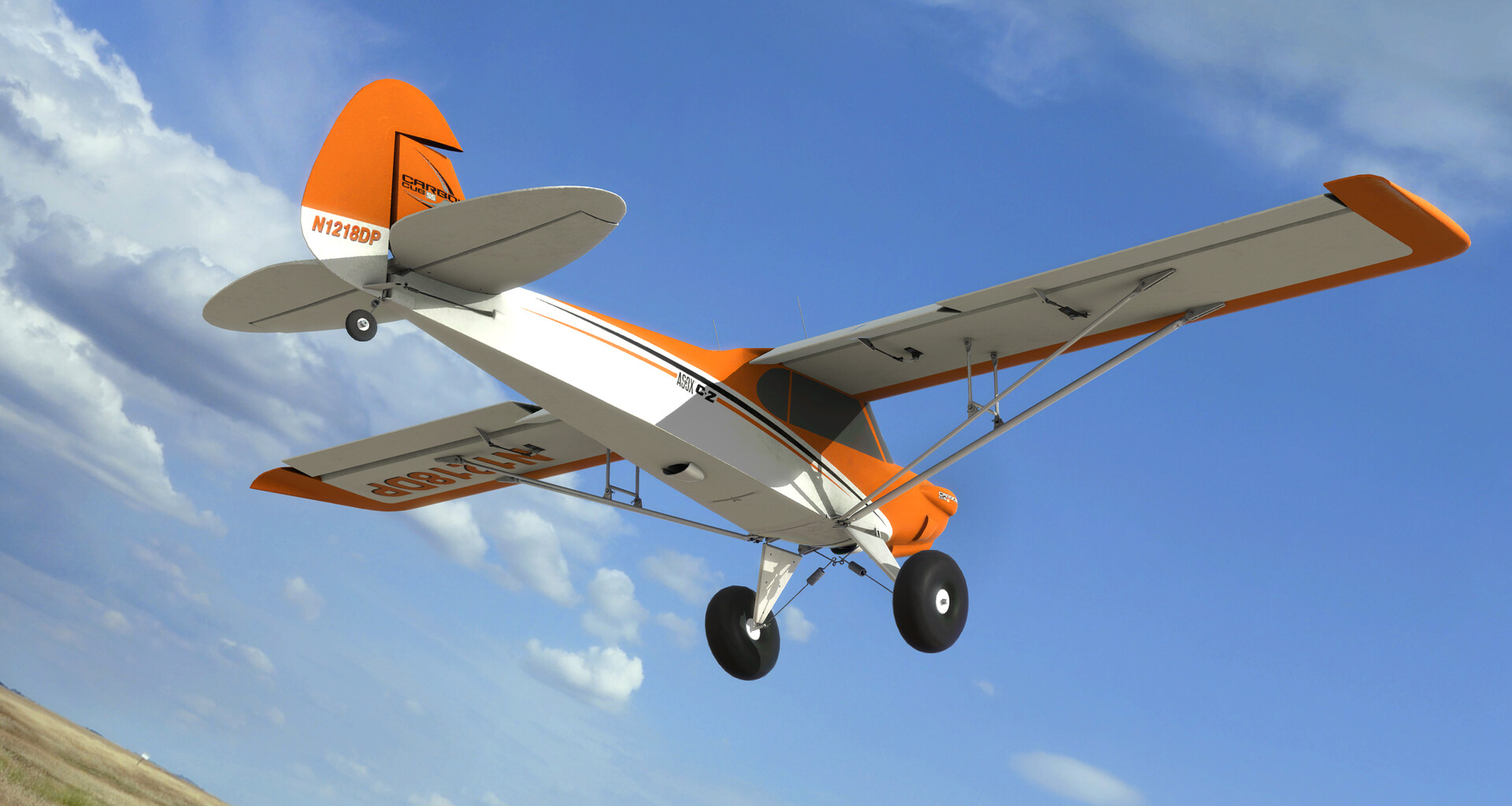 RealFlight Evolution - E-flite Carbon-Z Cub SS 2.1m #2