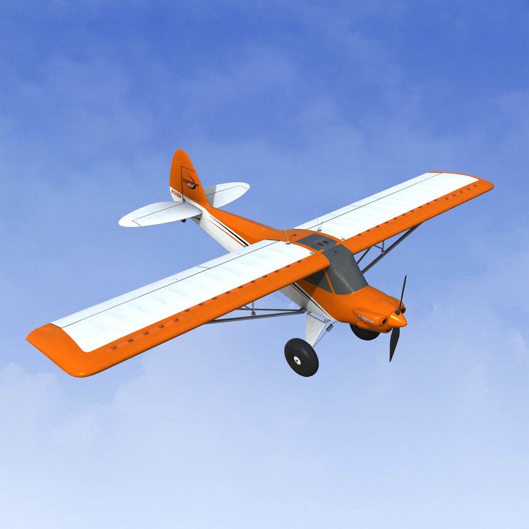 RealFlight Evolution - E-flite Carbon-Z Cub SS 2.1m #0