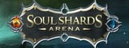 SoulShards Arena Playtest