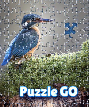 Puzzle Go