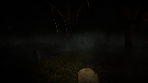 Скриншот из Haunted Investigation