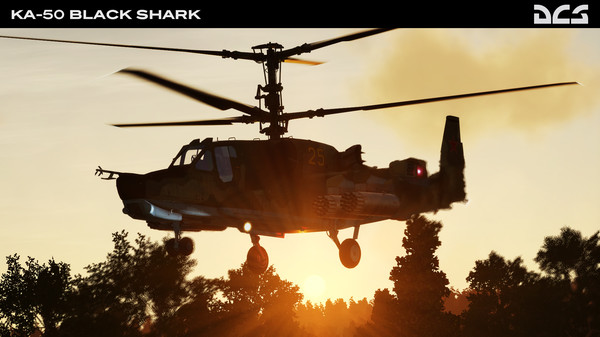 DCS: Black Shark 2