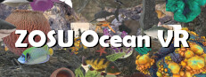 ZOSU Ocean VR