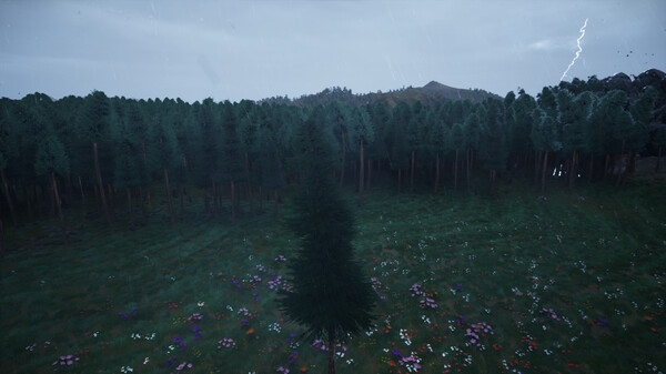 You Are Trefor windows and Linux 1