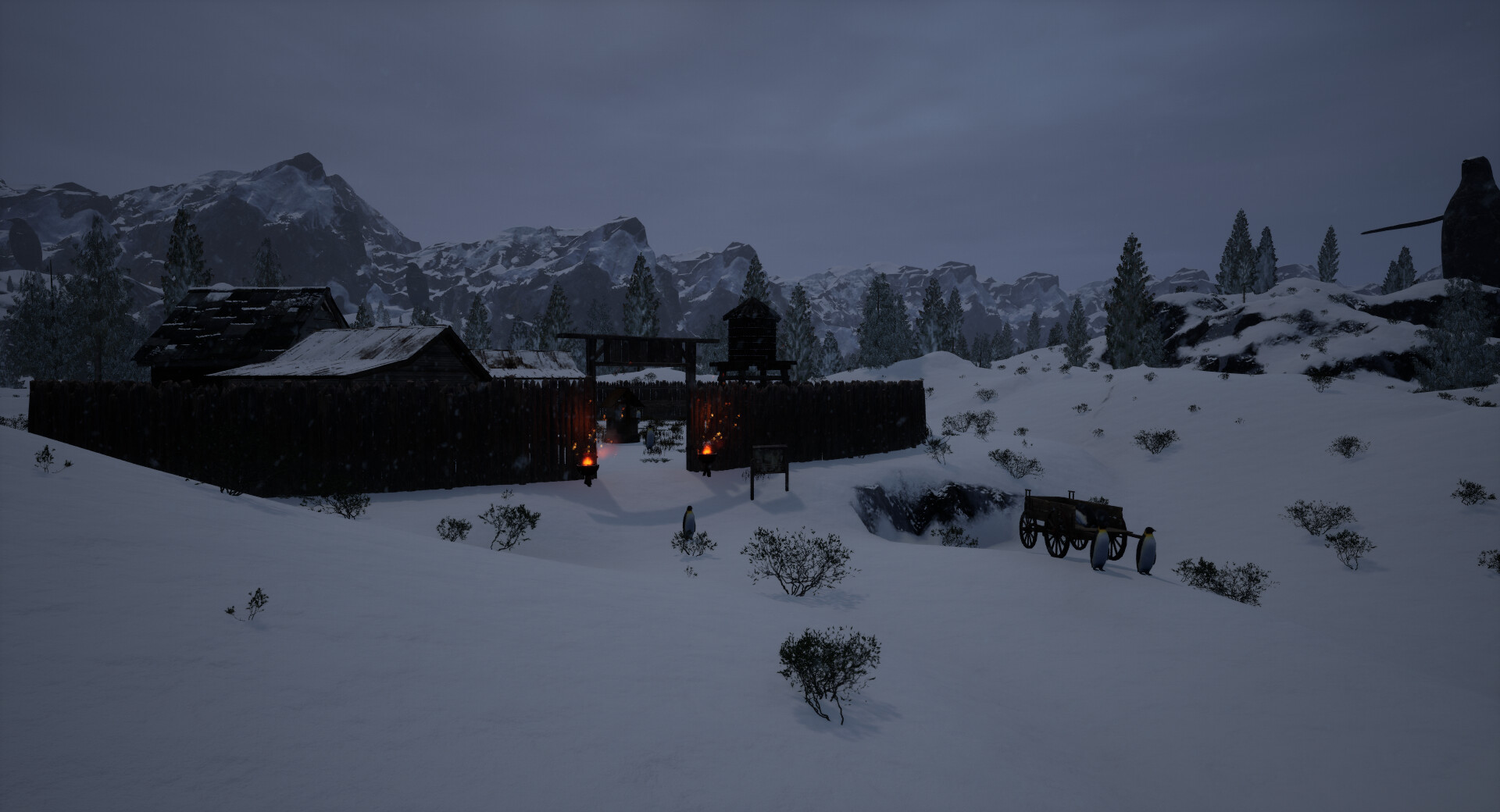 Der Pfad des Pinguins #12