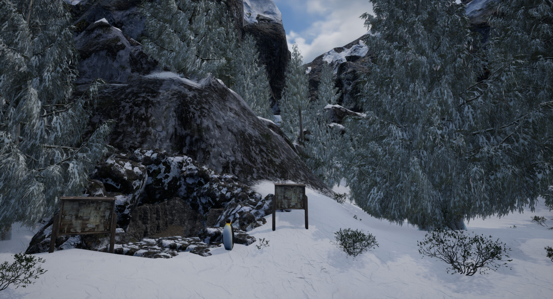 Der Pfad des Pinguins #8