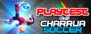 Charrua Soccer Playtest
