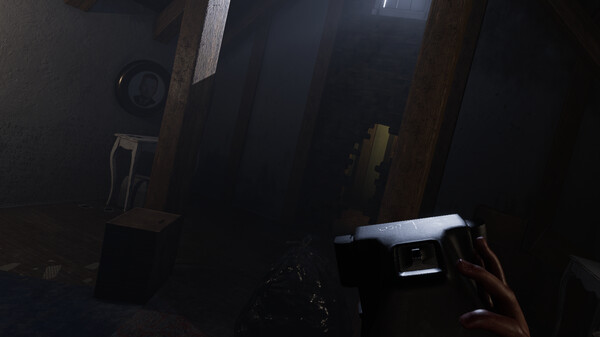 MADiSON VRfor windows and Linux 1