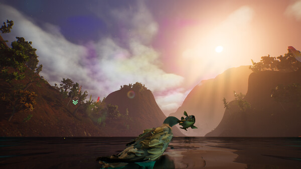 Flytofor windows and Linux 1