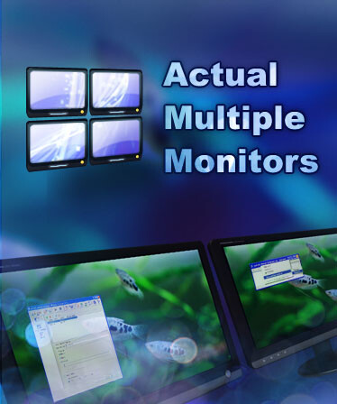 Actual Multiple Monitors