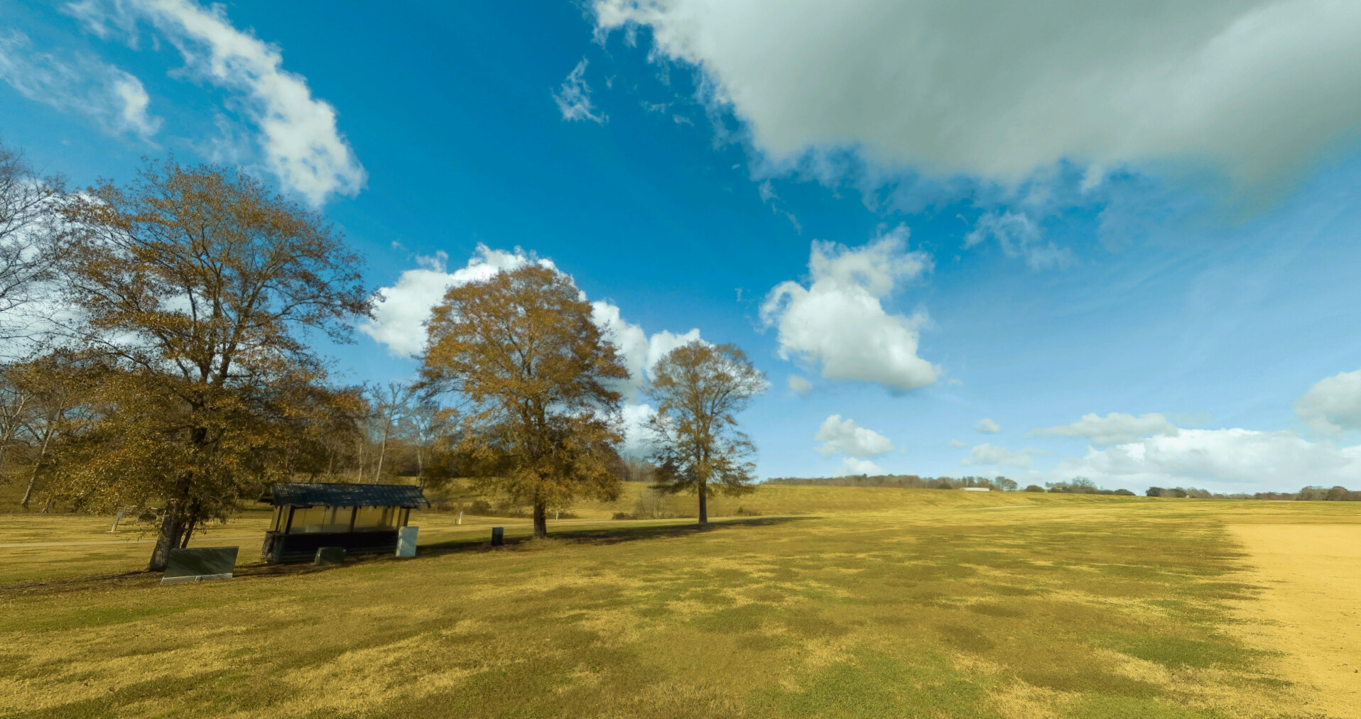 RealFlight Evolution - 2023 Year Content Pass #38