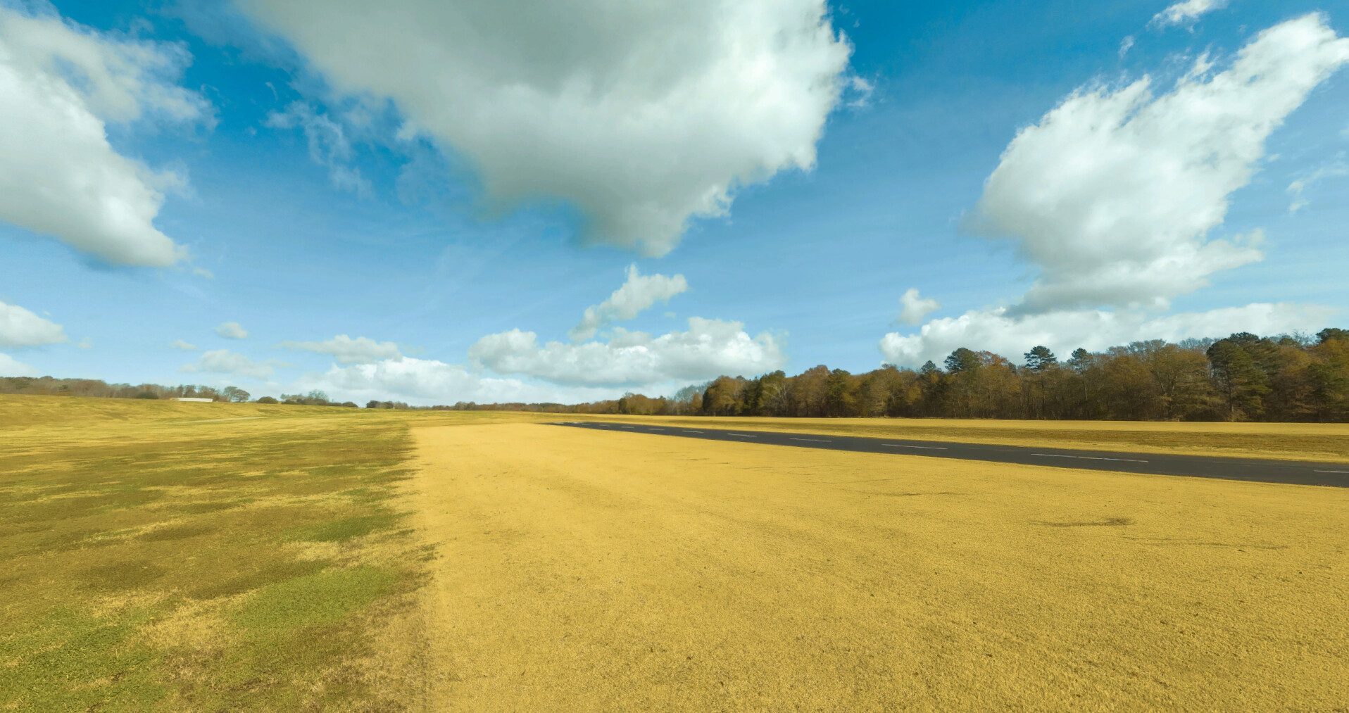 RealFlight Evolution - 2023 Year Content Pass #40