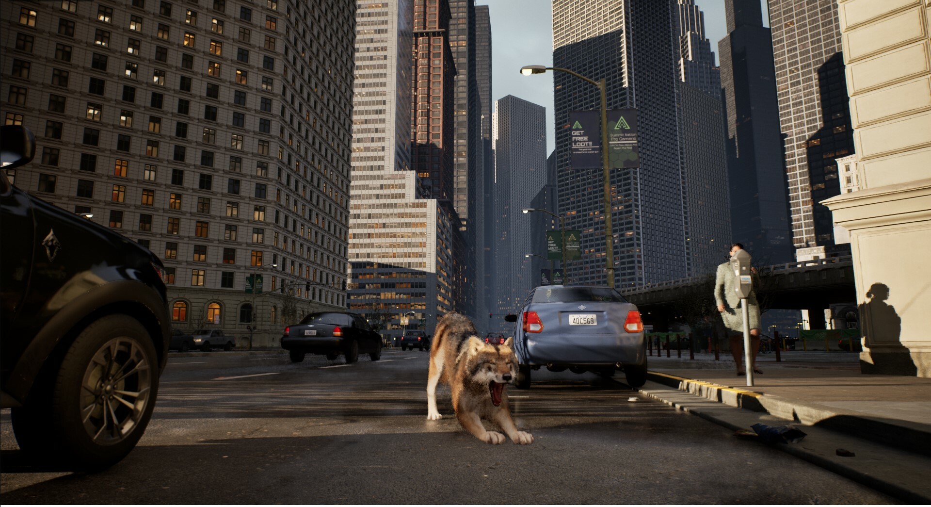 WOLF IN THE CITY 2
