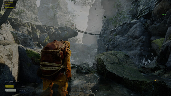 Multiplayer Turtlesfor windows and Linux 1