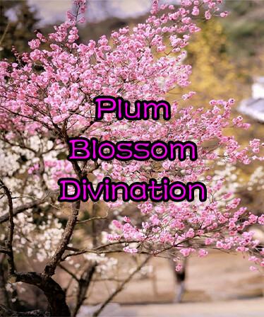 Plum Blossom Divination