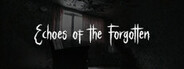 Echoes of the Forgotten