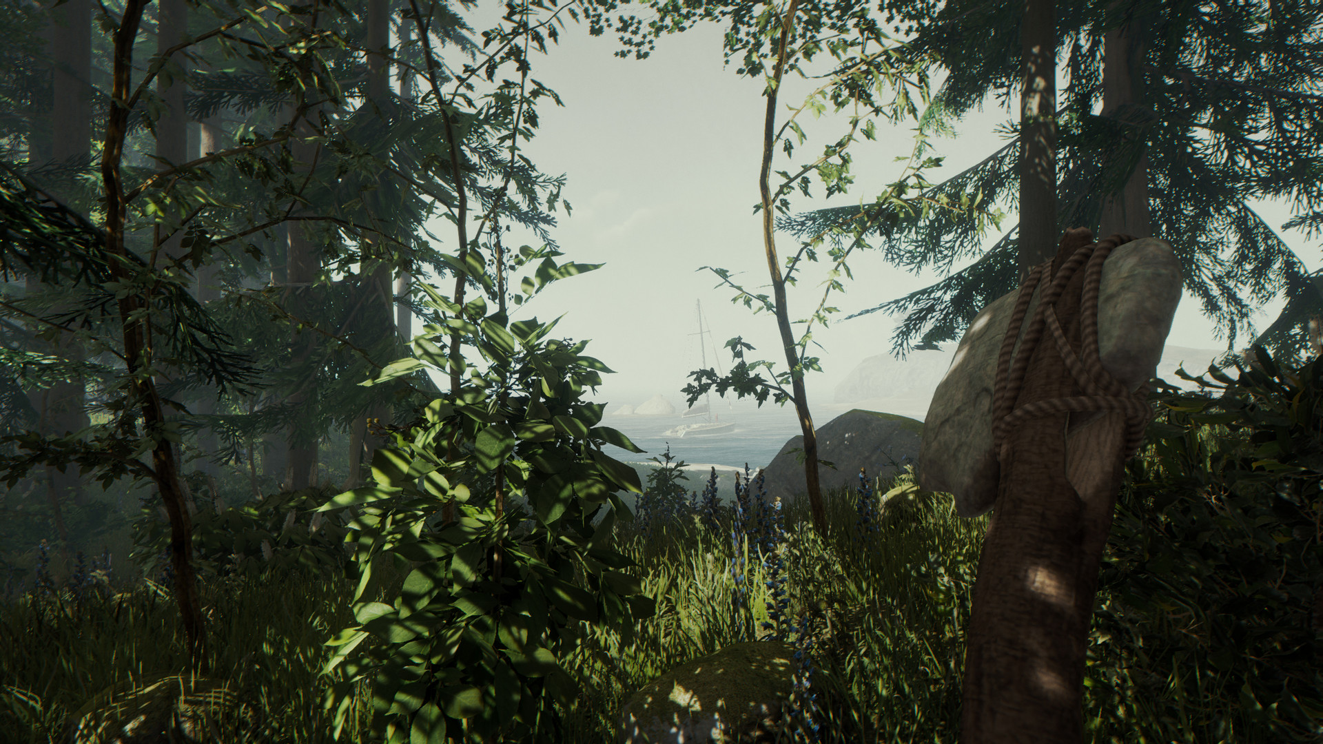 The Forest on Steam