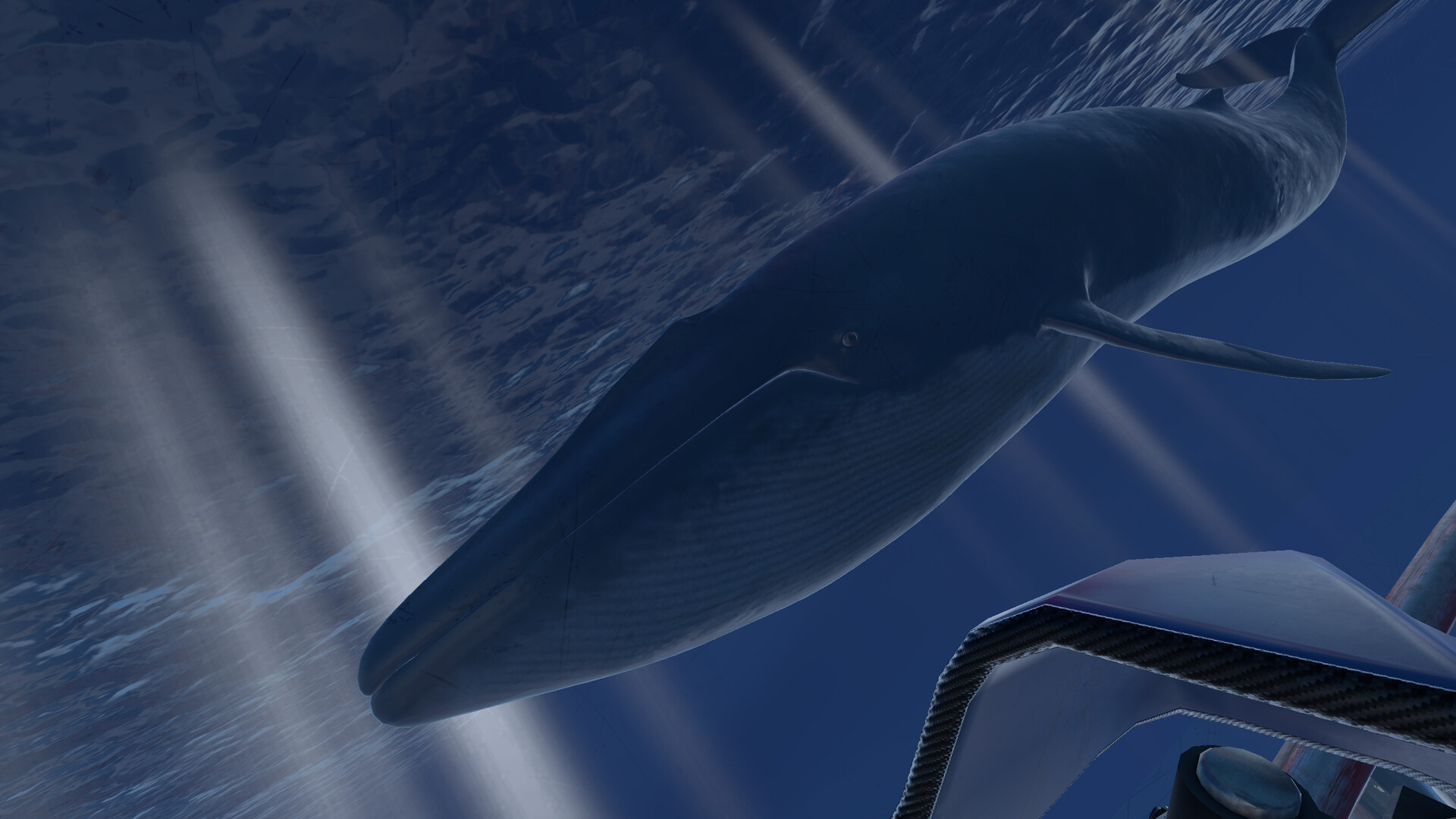 Epic Roller Coasters — Antarctica #2