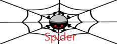 Spider