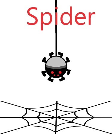 Spider