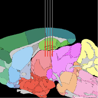 Pinpoint game for windows Pc 1