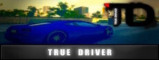 True Driver 게임 이미지