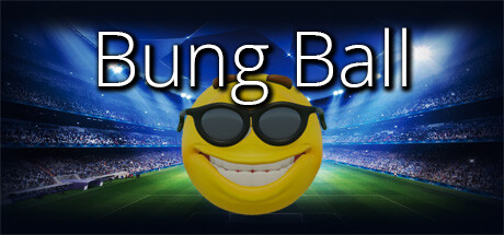 Image for Bung Ball