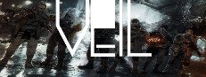 VEIL