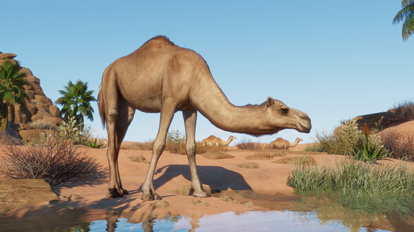 Planet Zoo: Arid Animal Pack for steam Planet Zoo: Arid Animal Pack for steam