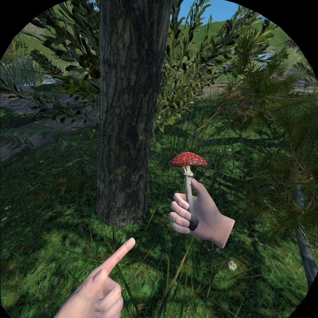 Just A Walk In The Park #16