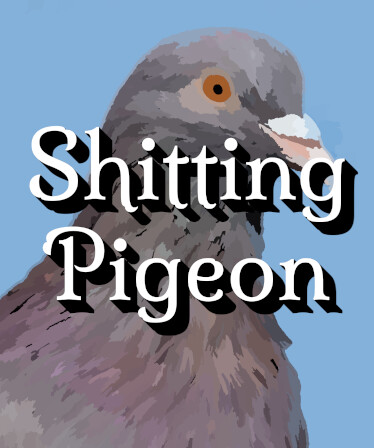 Shitting Pigeon