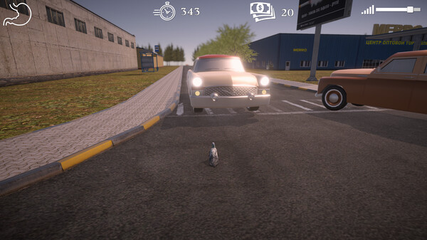 Shitting Pigeon