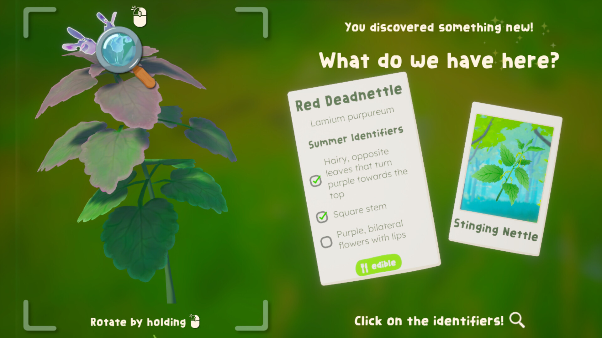 Wholesome - Out and About Demo #2