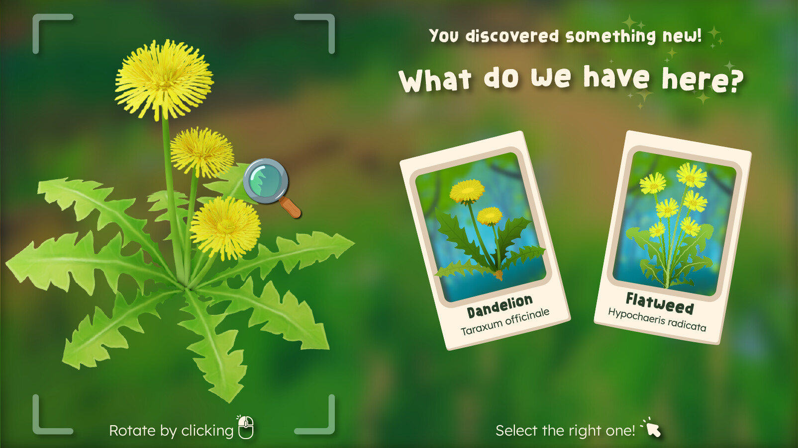 Wholesome - Out and About Demo #0