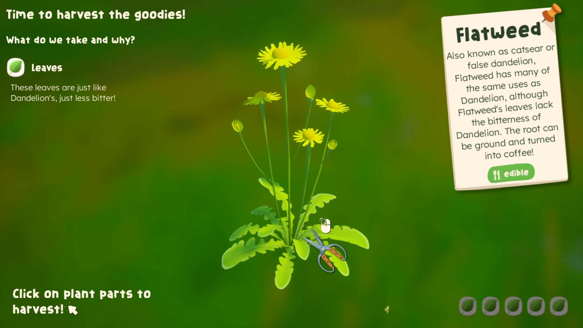 Wholesome - Out and About Demo #4