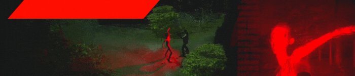 niestandardowe_obrazy.gif?t=1710362335
