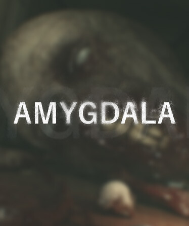 Amygdala