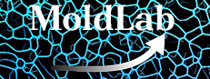 MoldLab 게임 이미지