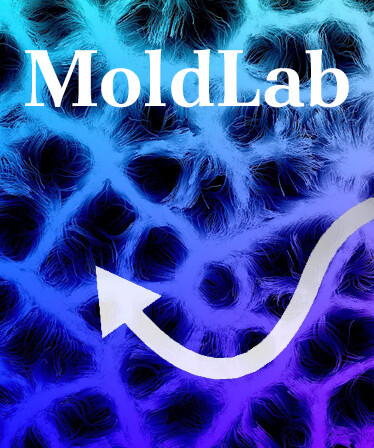 MoldLab