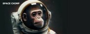 Space Chimp
