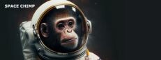 Space Chimp