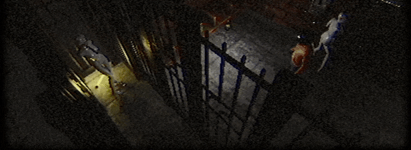 for-gif-3.gif?t=1706115617