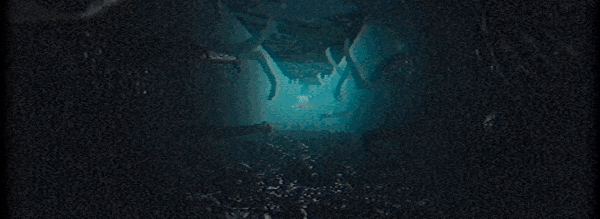 for-gif-4.gif?t=1706115617