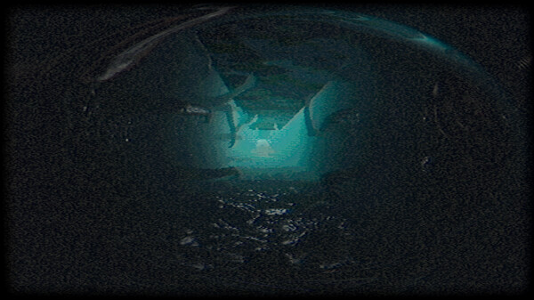 Plastomorphosisfor windows and Linux 1